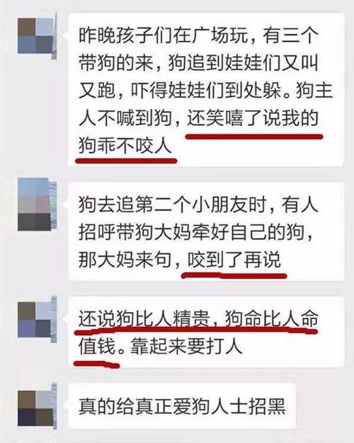 周口市最新爆料消息今天,最新爆料揭示惊人真相，市民热议！”