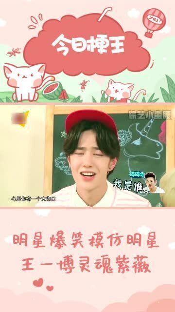 王姓明星爆料大全最新,娱乐圈幕后真相大揭秘