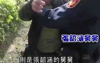 最新舅舅爆料视频大全集,揭秘娱乐圈不为人知的幕后故事