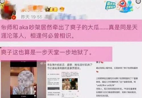 新瓜最新爆料外国视频,外国视频中的新瓜爆料，真相究竟如何？